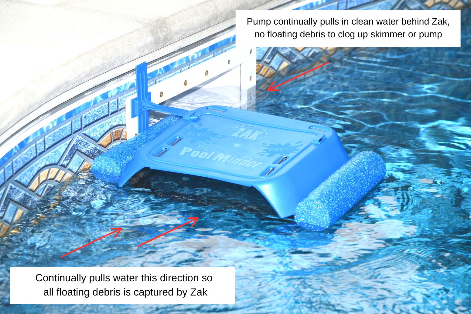 Zak the Pool Minder-Graphic